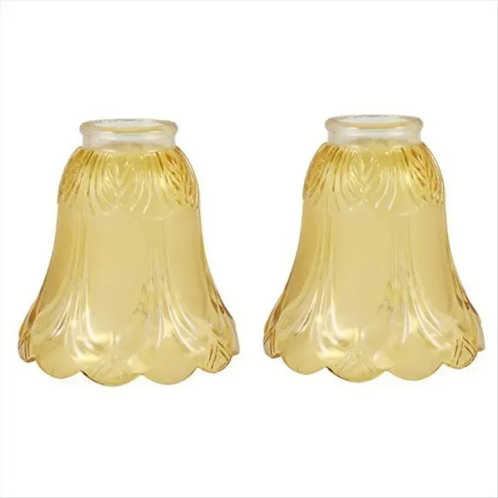 2 Abat Jours de Rechange en Verre Dépoli et Transparent pour Ventilateur de Plafond