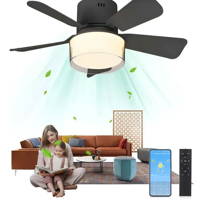 Ø 52.5 cm Ventilateur de Plafond avec Lumière Dimmable Silencieux 4 Vitesses APP et Télécommande 5 Pales E26/E27 Base Noir