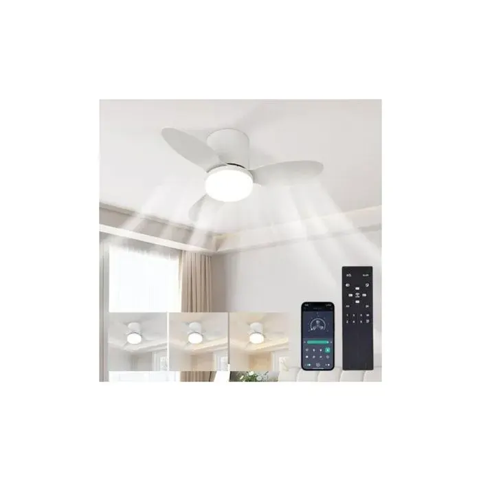 65cm 60W Ventilateur Plafond avec Lumiere - Plafonnier LED 6 Vitesses Dimmable avec Ventilateur Silencieux Moteur DC Réversible Ap