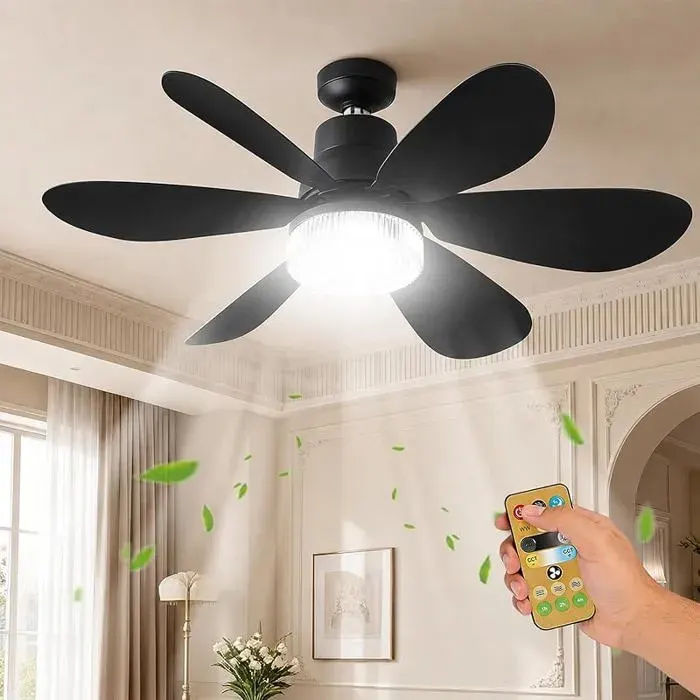 AKOFIC Ventilateur de Plafond avec Lumière et Telecommande Ø52cm LED Plafonnier Dimmable Ventilateur avec 40W E27 Lampe Noir
