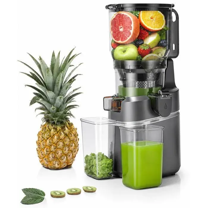 AMZCHEF Extracteur de Jus à Froid pour Fruits et Légumes Grande Ouverture 150mm 250W Triple Filtre Capacité 2L Gris
