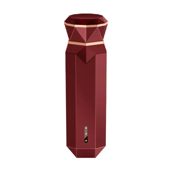 Appareil de beauté RF EMS Micro-courant Anti-âge Raffermissant LED Rouge Chauffage Précis Visage Anti-rides Maison Portablerouge