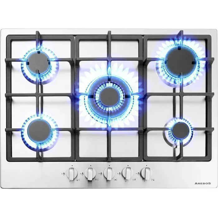 Arebos Table de cuisson à gaz 5 feux Cuisinière à gaz en acier inoxydable avec protection automatique contre les flammes