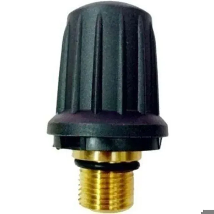 Bouchon de soupape de sécurité en laiton 4.590-105.0 pour nettoyeur vapeur Karcher SC1/SC2/SC3
