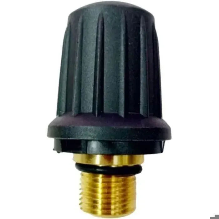 Bouchon de soupape de sécurité en laiton de rechange 4.590-105.0 pour nettoyeur vapeur Karcher SC1.010 SC1.020 SC2.000 SC3.000 Serie