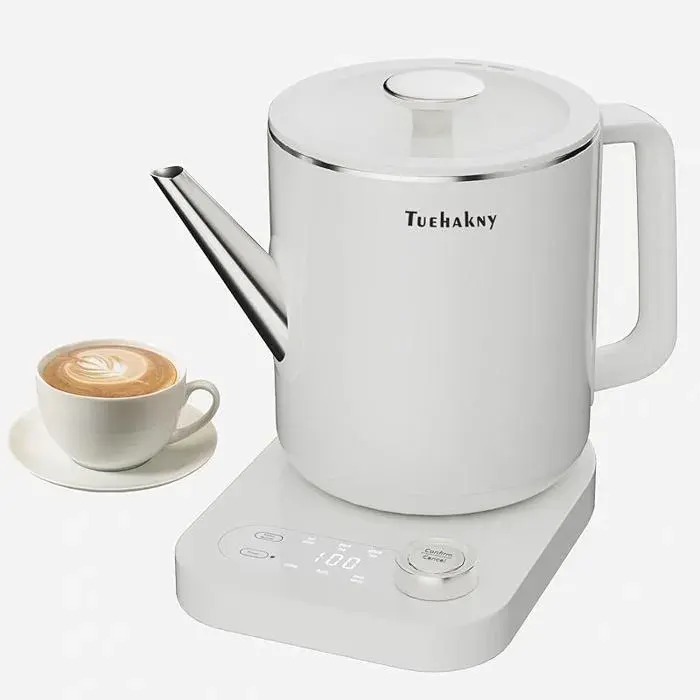 Bouilloire avec Sélection Température 1 0L Intelligent 6-en-1 Acier Inoxydable 304-800W Chauffe Rapide Foncti BOUILLOIRE ELECTRIQUE