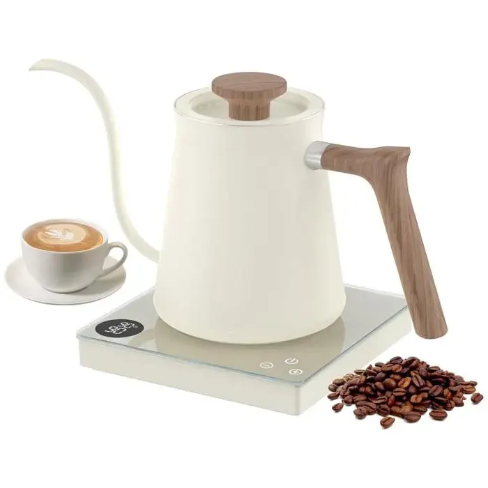 Bouilloire électrique à café 0.6L col de cygne avec température réglable de 40~100℃1000W ébullition rapidecafé acier inoxydable304