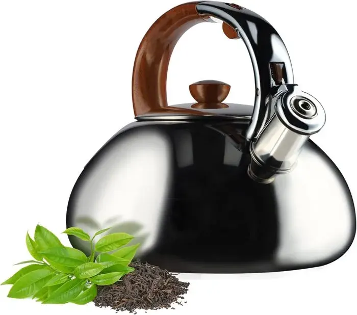 Bouilloire électrique - CHOUMICHA SAVEURS - 25 L - Acier inoxydable - Poignée antidérapante - Argenté