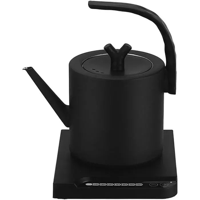 Bouilloire Électrique En Acier Inoxydable Bouilloire Électrique À Col De Cygne 1L Théière 1000W Avec Contrôle De Température Prot