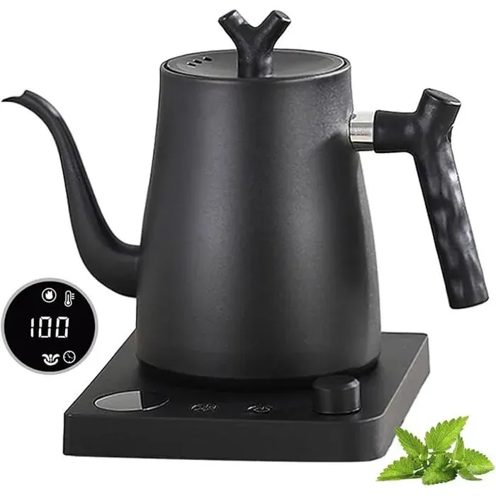 Bouilloire Électrique Intelligente Col de Cygne 1.0 Litre avec Réglage Température 40-100°C Acier Inoxydable BOUILLOIRE ELECTRIQUE