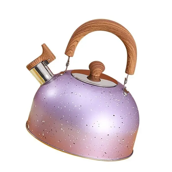 Bouilloire en acier inoxydable SURENHAP - 2L - Violette