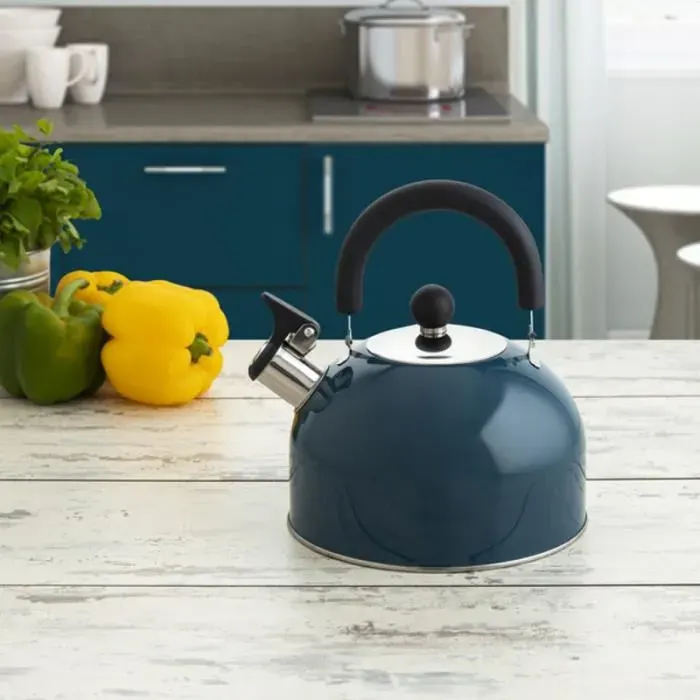 Bouilloire Quid Bleu Acier inoxydable (2 L)