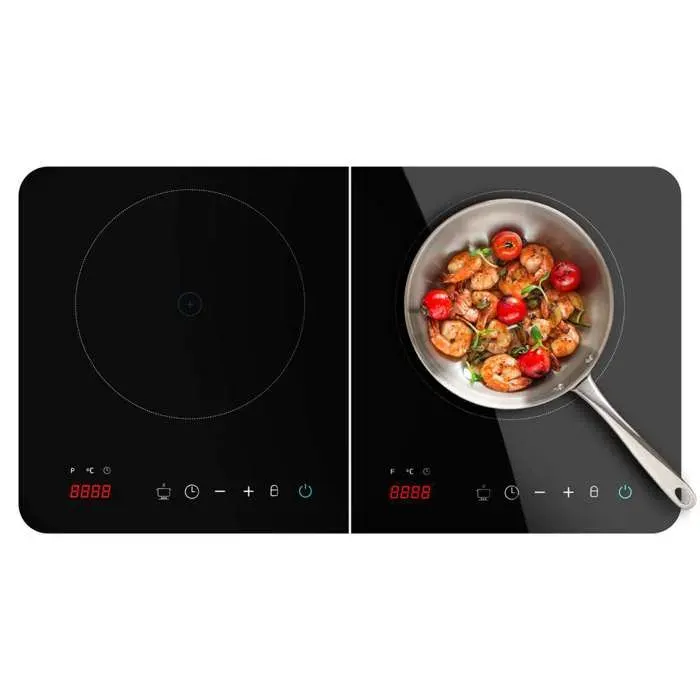 Cecotec Plaque à induction Full Magma Double — coloris Noire
