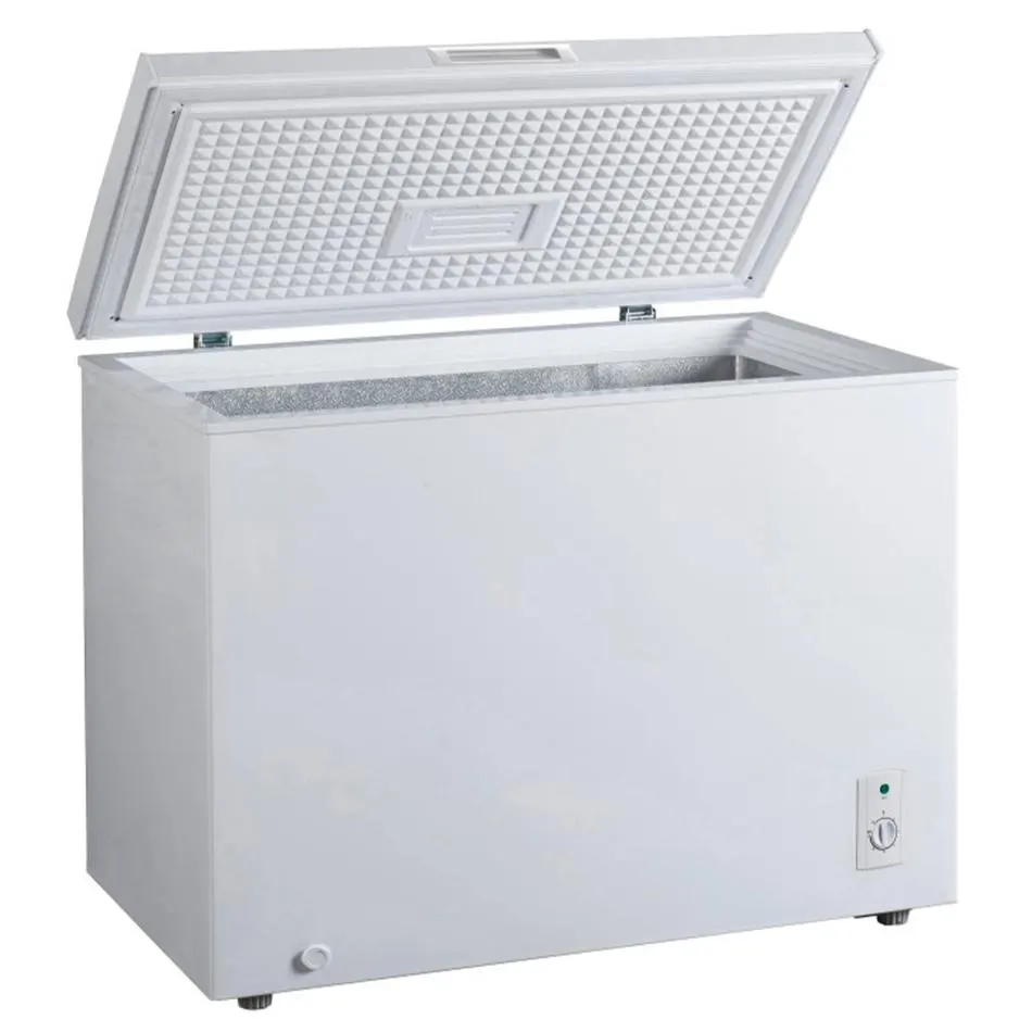 Congélateur coffre FRIGELUX CCO300BD — coloris Blanc