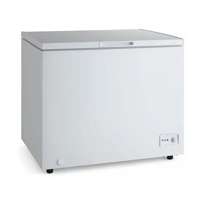Congélateur coffre professionnel - 282L - Froid ventilé - ≤ -18°C - Panier inclus