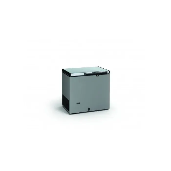 Congélateur Coffre Professionnel Couvercle Battant Inox - Tensai - Métallisé - l890- L1- P690- h860- Inox