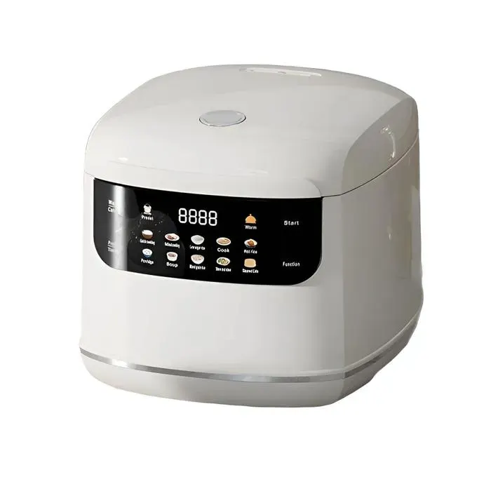 Cuiseur à riz capacité 2 l 400 W 10 programmes de cuisson contrôle intelligent de la température fonction minuterie blanc