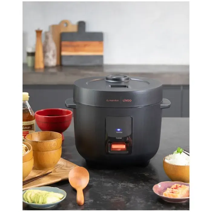 Cuiseur à riz - LIVOO - 18 L - Revêtement antiadhésif - 700 W - Arrêt automatique