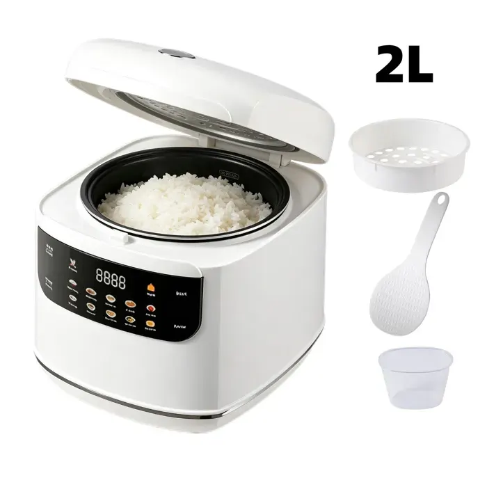 Cuiseur à Riz Multifonction 2 L 10 Programmes de Cuisson Cuve Antiadhésive Fonction Maintien au Chaud pour 1 à 2 Personnes