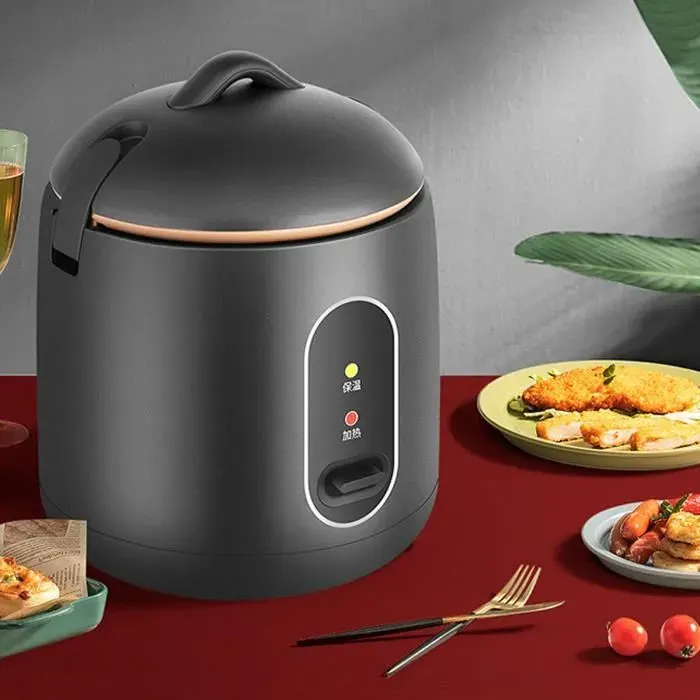 Cuiseur à riz - VVIKIZY - Mini cuiseur électrique - 12 L - Fonction maintien au chaud - Compact