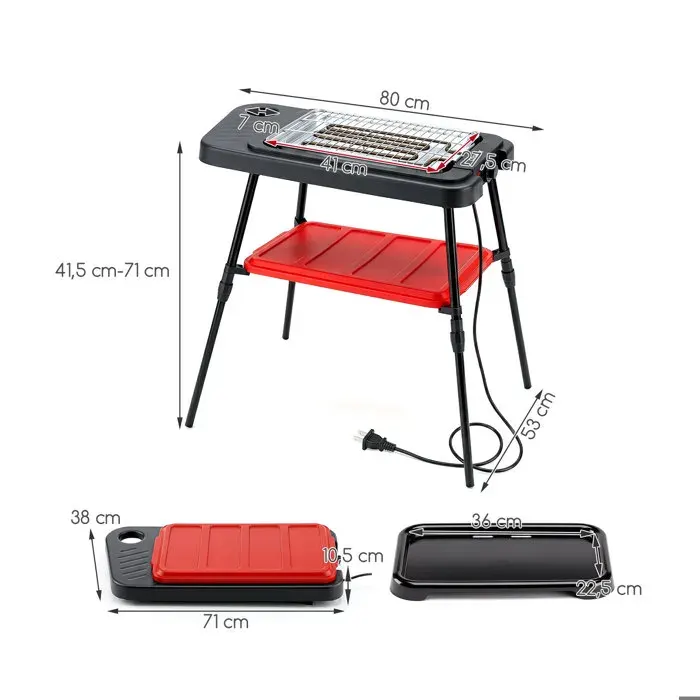 Cuisson précise barbecue électrique 2-en-1 2000 W thermostat intégré plaque + gril pour 4 à 6 personnes