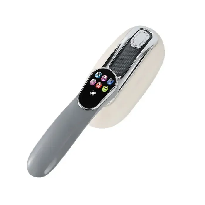 Défroisseur Vapeur 2 en 1 Portable 1300W - 1 Pièce - Écran Tactile Multi-Modes Repassage Sec Auto-Nettoyage 160ml