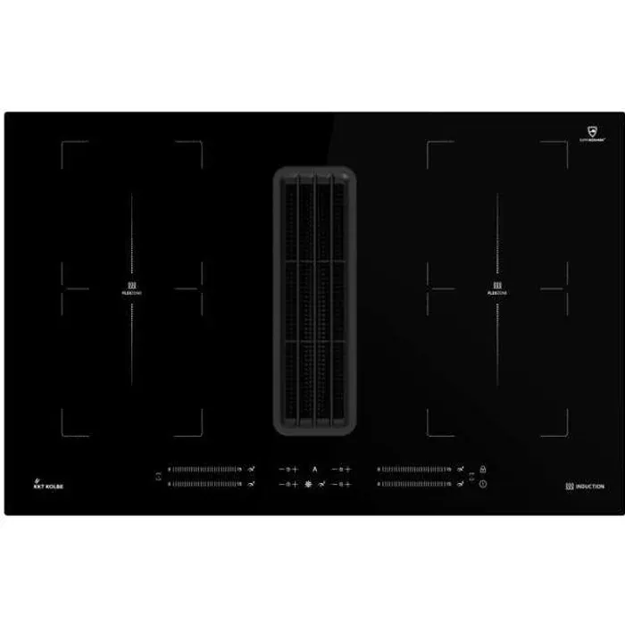 Downdraft Hotte aspirante Table de cuisson à induction Autonome 77cm 9 niveaux
