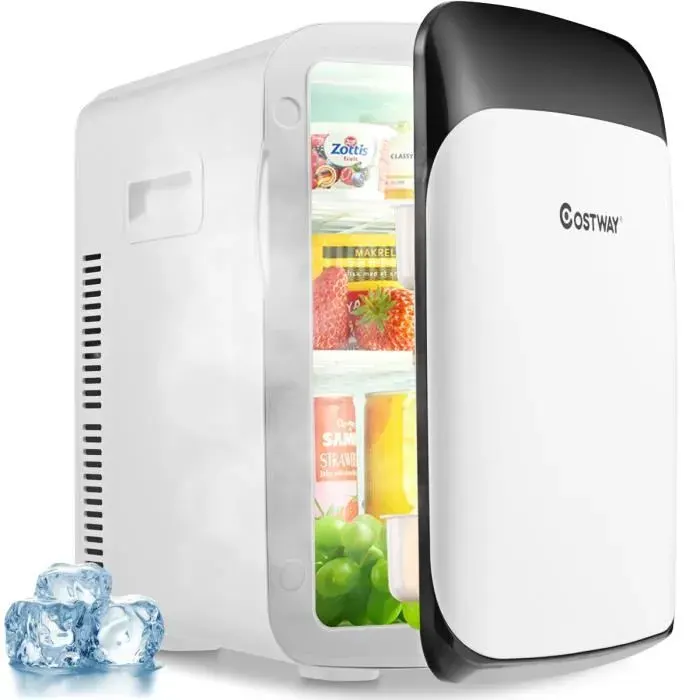 DREAMADE Mini Réfrigérateur et Réchauffeur Thermoélectriquepour Maison et VoyageMini Glacière avec Régulateur de Température
