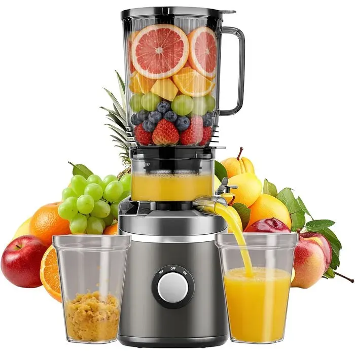 Extracteur De Jus 250W 23 L À Pression À Froid Pour Fruits Et Légumes Entiers 65 Tr/Min Avec Goulotte DAlimentation De 12 Cm