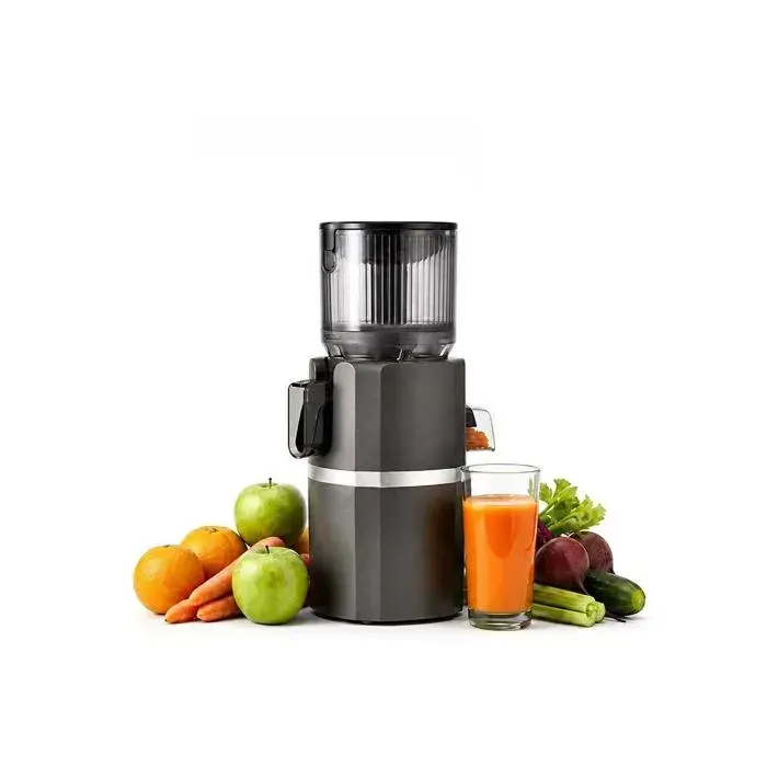Extracteur de Jus 250W Grande Ouverture 120mm Pressage à Froid 99% 3-en-1 Jus/Lait/Sorbet Moteur DC Silencieux