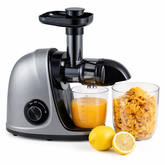 Extracteur de jus à froid 150W fonction marche arrière 2 vitesses nettoyage facile pour fruits et légumes