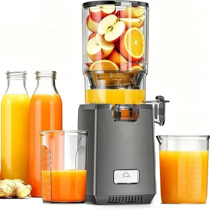 Extracteur de Jus de Fruits et Légumes 250 W Juicer Machine avec Goulotte Large 13 cm Slow Juicer Sans BPAFacile Nettoyer18 L