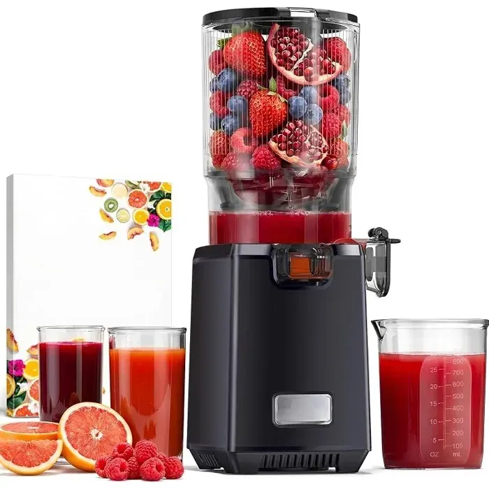 Extracteur de Jus de Fruits et Légumes 250 W Juicer Machine Goulotte Large 13 cmSlow Juicer Sans BPAFacile Nettoyer18 L Noir