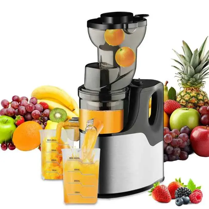 Extracteur de Jus Vertical Slow Juicer 150W Pressage à Froid 99.6% Rendement Goulot 75mm Sans BPA Nettoyage Facile Silencieux Argent