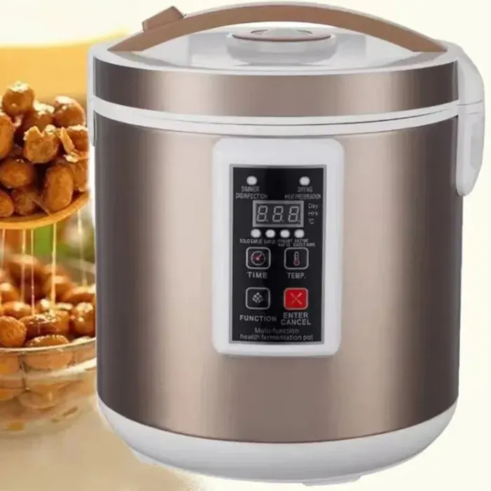 Fermenteur à ail noir 5L intelligent air chaud 7–12 jours reprise auto après coupure qualité professionnelle