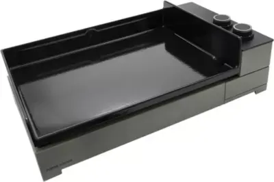 Forge Adour - Plancha Électrique Premium E 60 A Ng 2 Brûleurs À Poser, 58.5x40.5 Cm