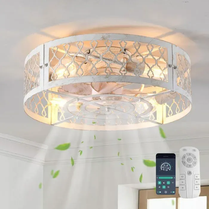 Ganeed Ventilateurs de plafond avec lumières Ventilateur de plafond de ferme de style industriel 50cm Éclairage en cage en métal E27