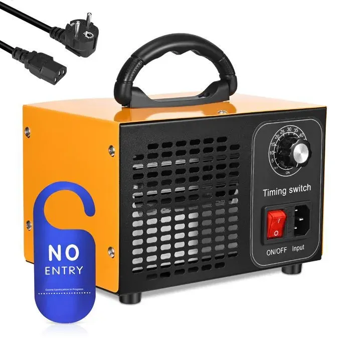 Générateur dOzone Domestique 60000 mg/hPurificateur dair portable pour la purification et la désodorisation de lair