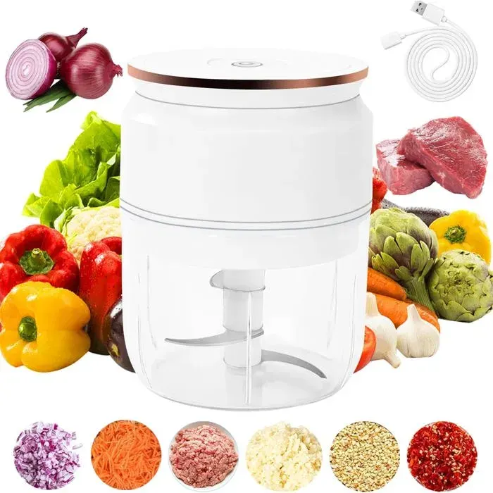 Hachoir électrique compact - EVERWOL - Capacité 300 ml - Design compact et portable - Utilisation facile à une touche