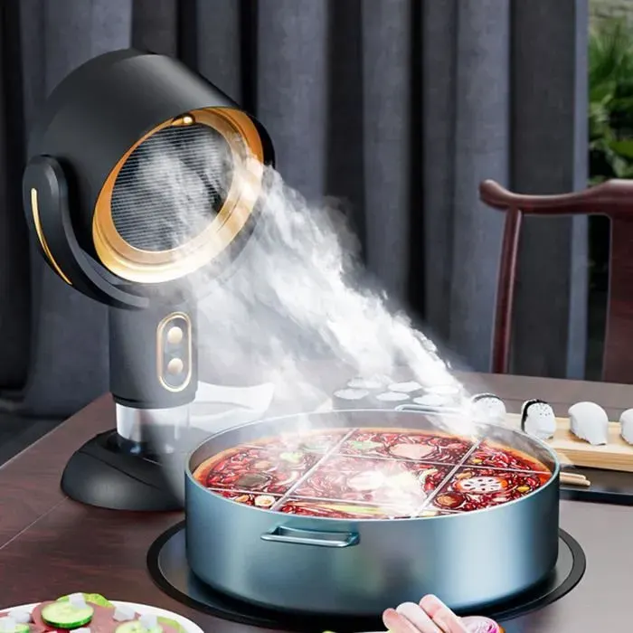 Hotte de Cuisine Portable - VVIKIZY - Or Noir - Désodorisant à Ions Négatifs - Batterie 3000mAh - Compacte