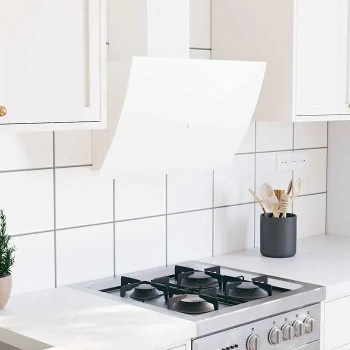 Hotte murale 60 cm Acier et verre trempé Blanc - vidaXL - aluminium - Filtration - Puissance 180 W - acier verre trempé aluminium