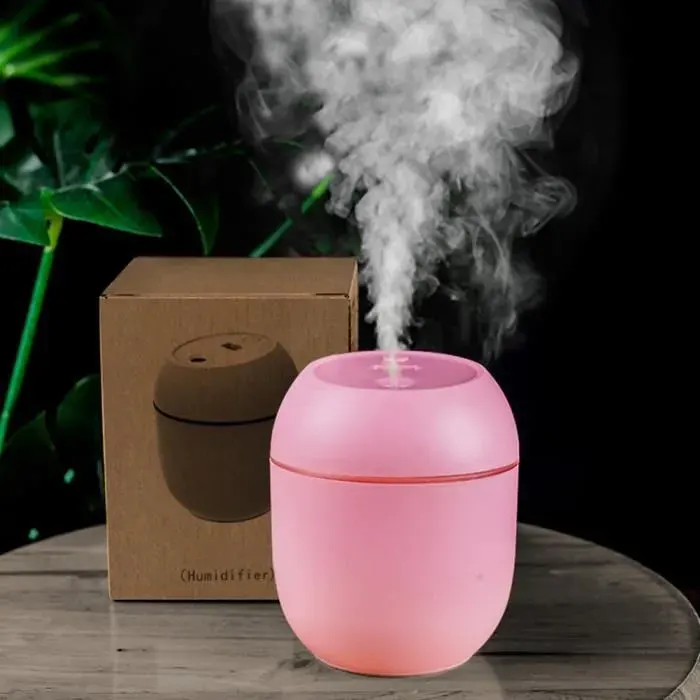 Humidificateur dair Portable USB 250ML 2 Modes darrêt automatique avec lumière LED diffuseur dhuile essentielle pour maison