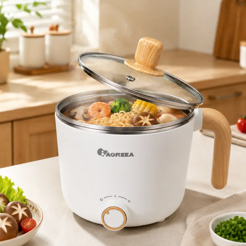 IAGREEA Cuiseur Multifonction Mini 1.0L, Fondue Électrique avec Cuve Inox et Contrôle Double Puissance 300W/600W pour Soupes et Repas