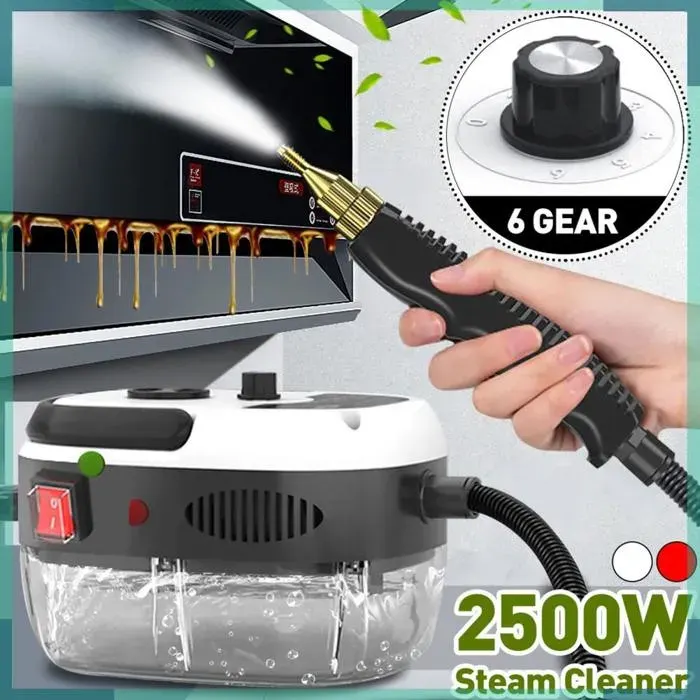 KEENSO nettoyeur vapeur Nettoyeur à vapeur électrique Portable haute température 1500W 220V pour auto entretien Blanc UE