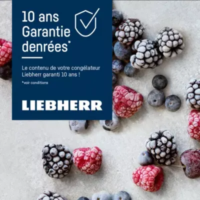 Liebherr - Congélateur Top Tg14vd04 — vue 4