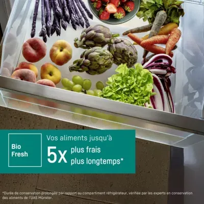 Liebherr - Réfrigérateur 1 Porte Encastrable Irbdi5170-22 Biofresh — vue 5