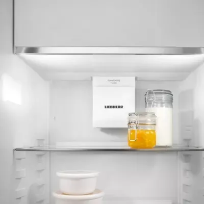 Liebherr - Réfrigérateur 1 Porte Rbsfd5221-22 Biofresh — vue 10