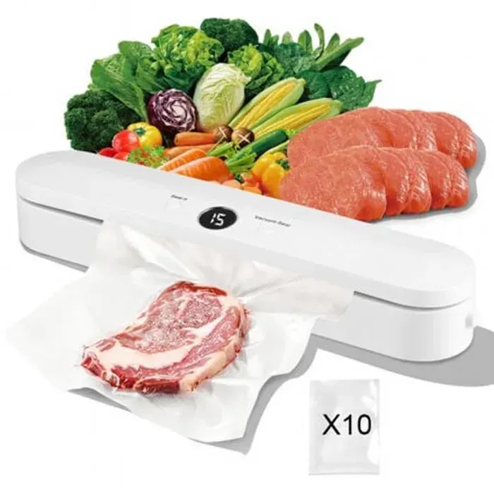 Machine Sous Vide Machine Sous Vide Alimentaire Compris 10pcs Sacs et pour Aliments Viandes Nourriture Sèche Humide et Fraîche