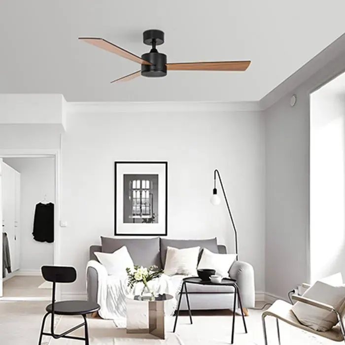 MARDEL Ventilateur de plafond noir Ø132