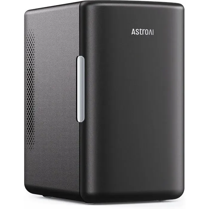 Mini Frigo De Chambre Capacité 6L Réfrigérateur Voiture 12V 220V